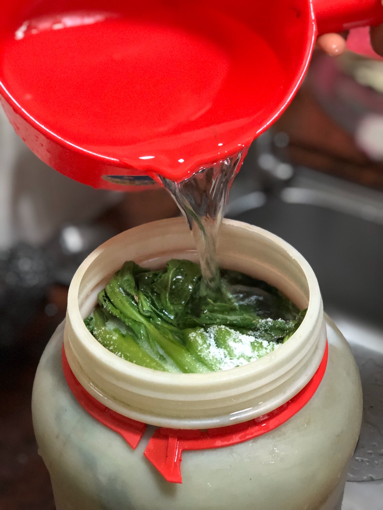 家常腌酸菜