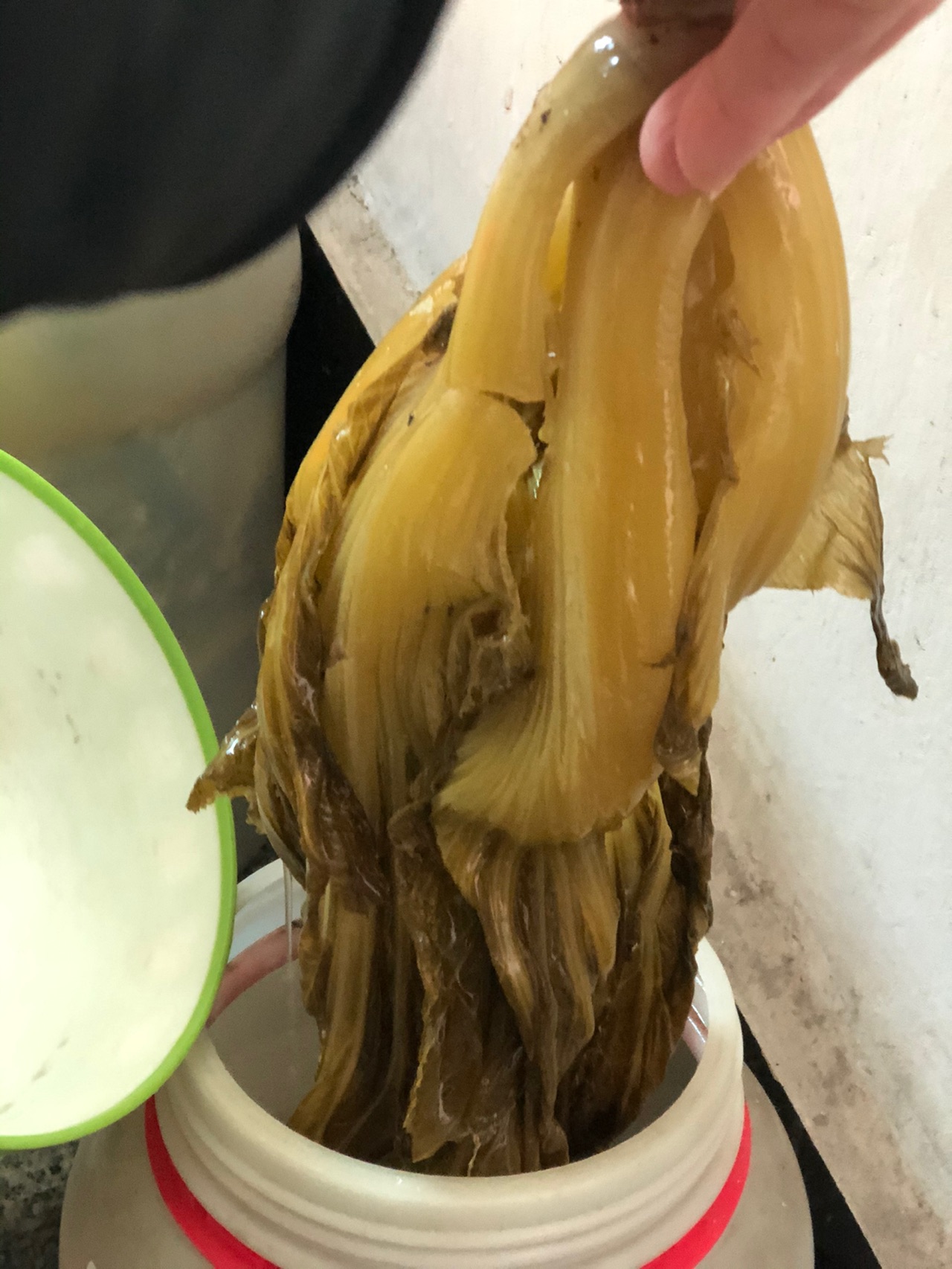 家常腌酸菜