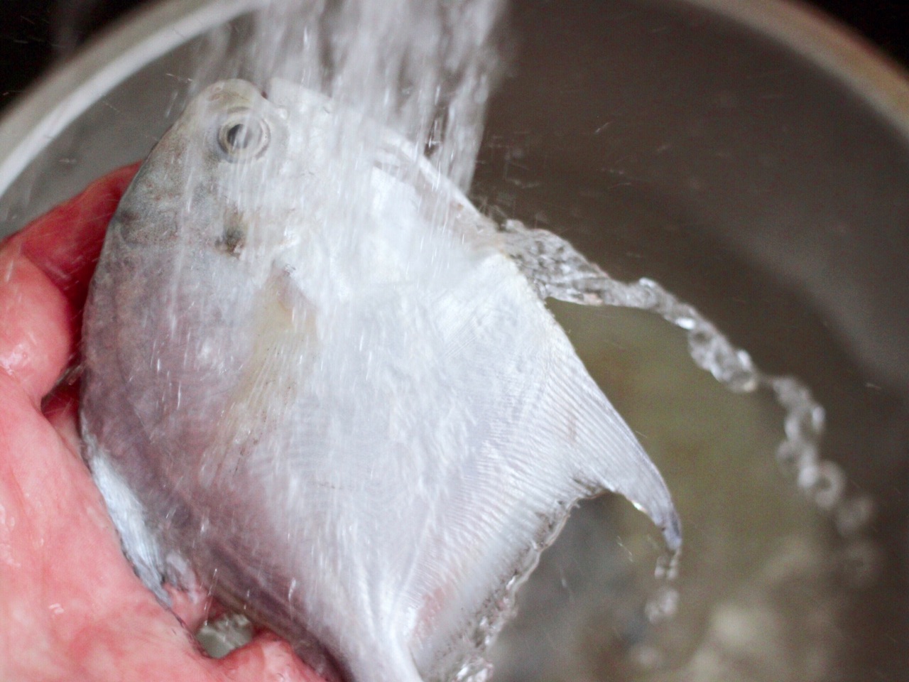 家常孜然银鲳