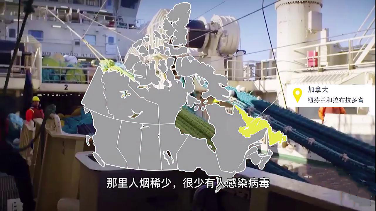 加拿大北极虾法式面包布丁