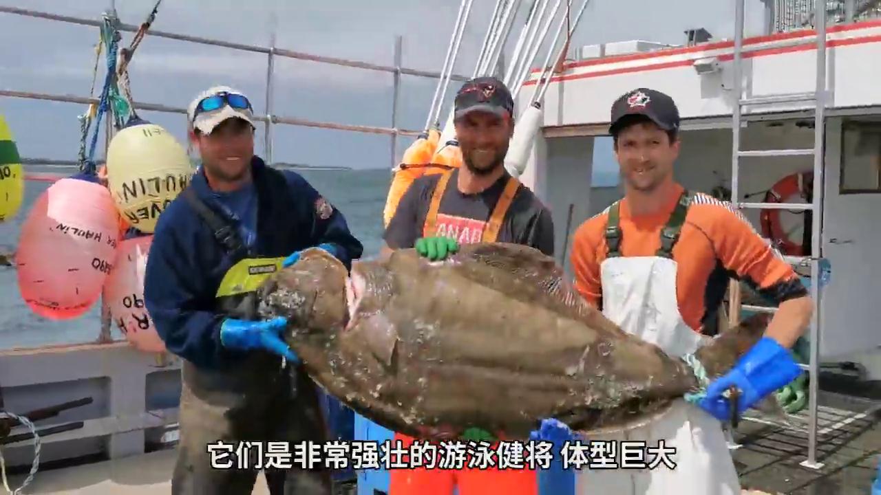 加拿大大比目鱼杂烩汤