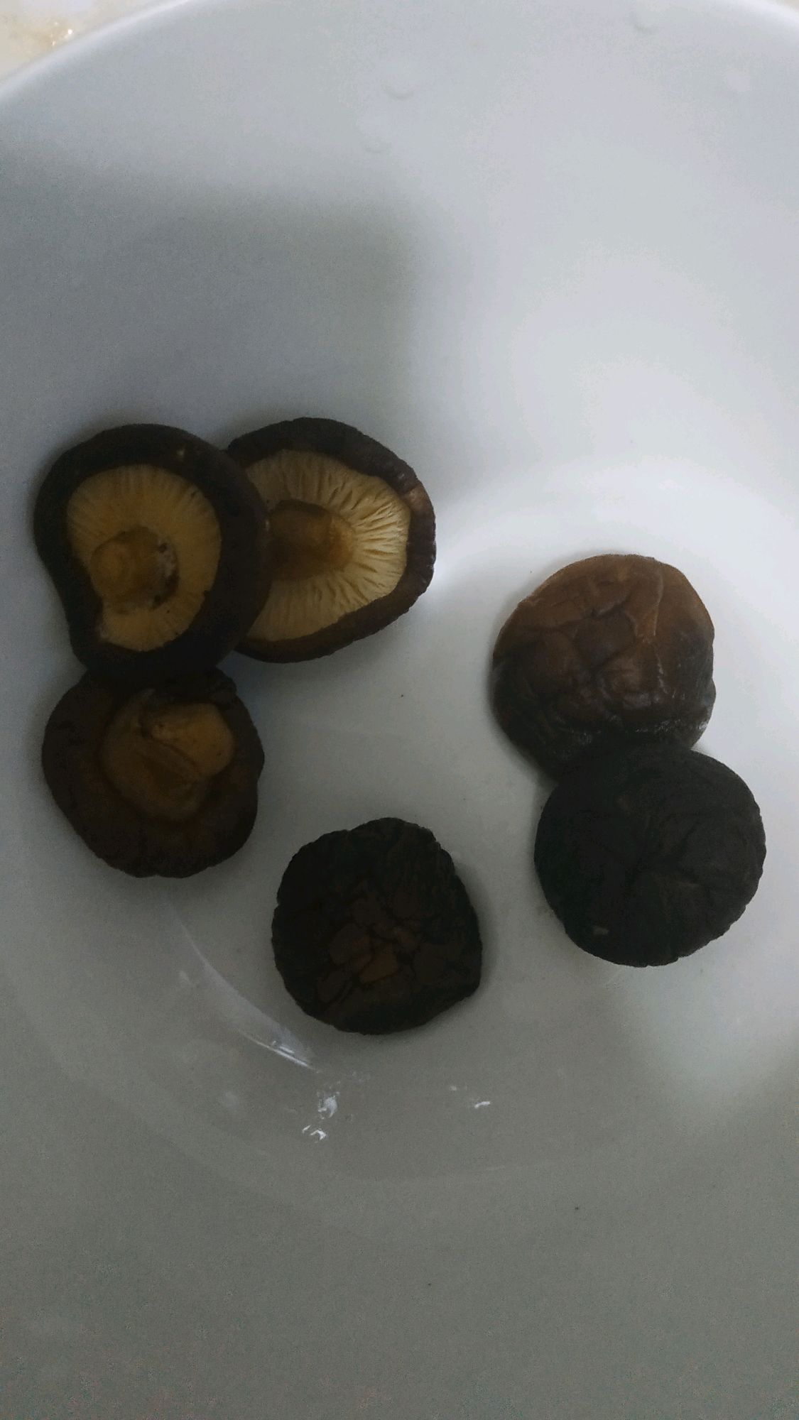 家庭版关东煮