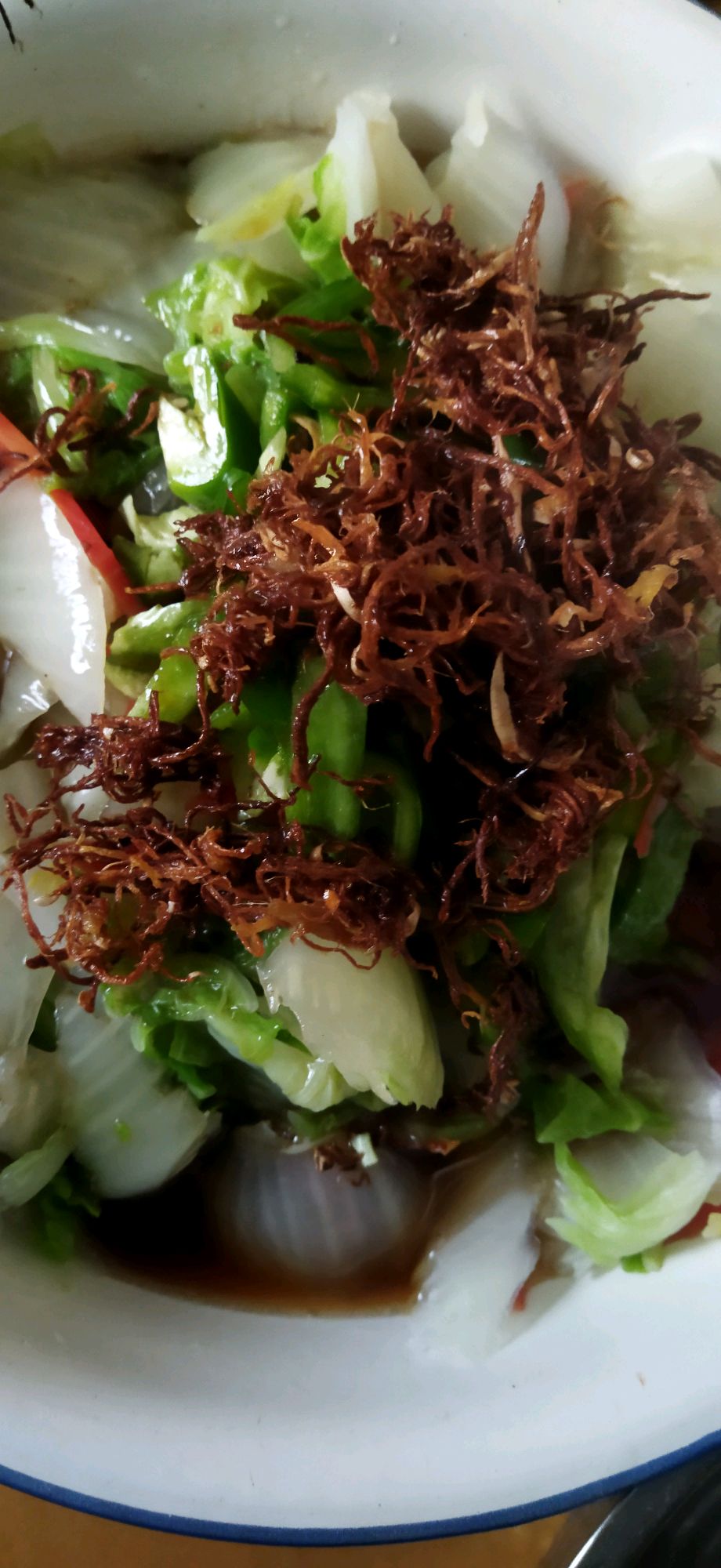 家庭版珊瑚白菜