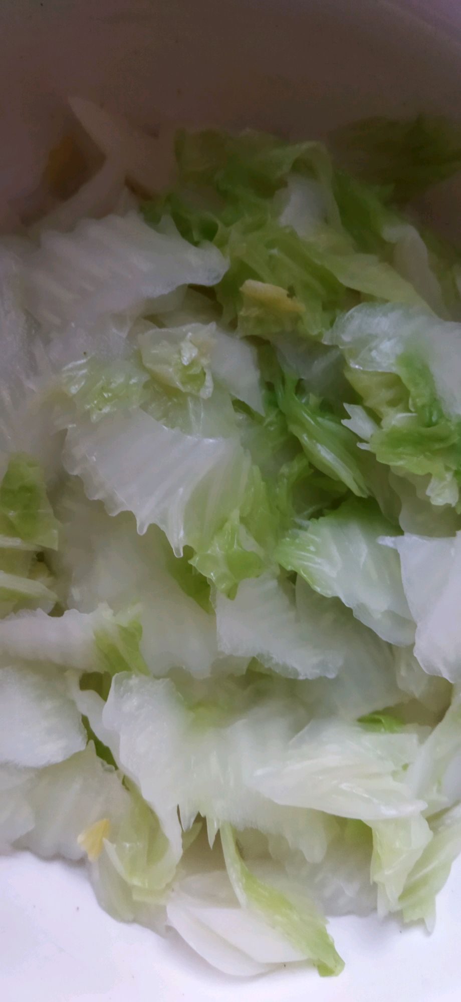 家庭版珊瑚白菜