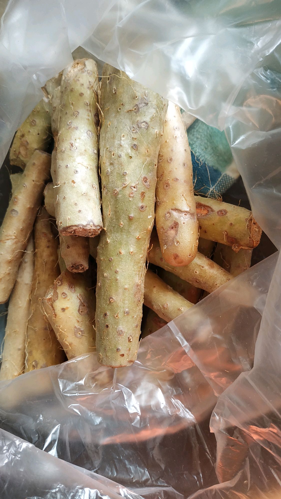 家庭版山药苹果饼