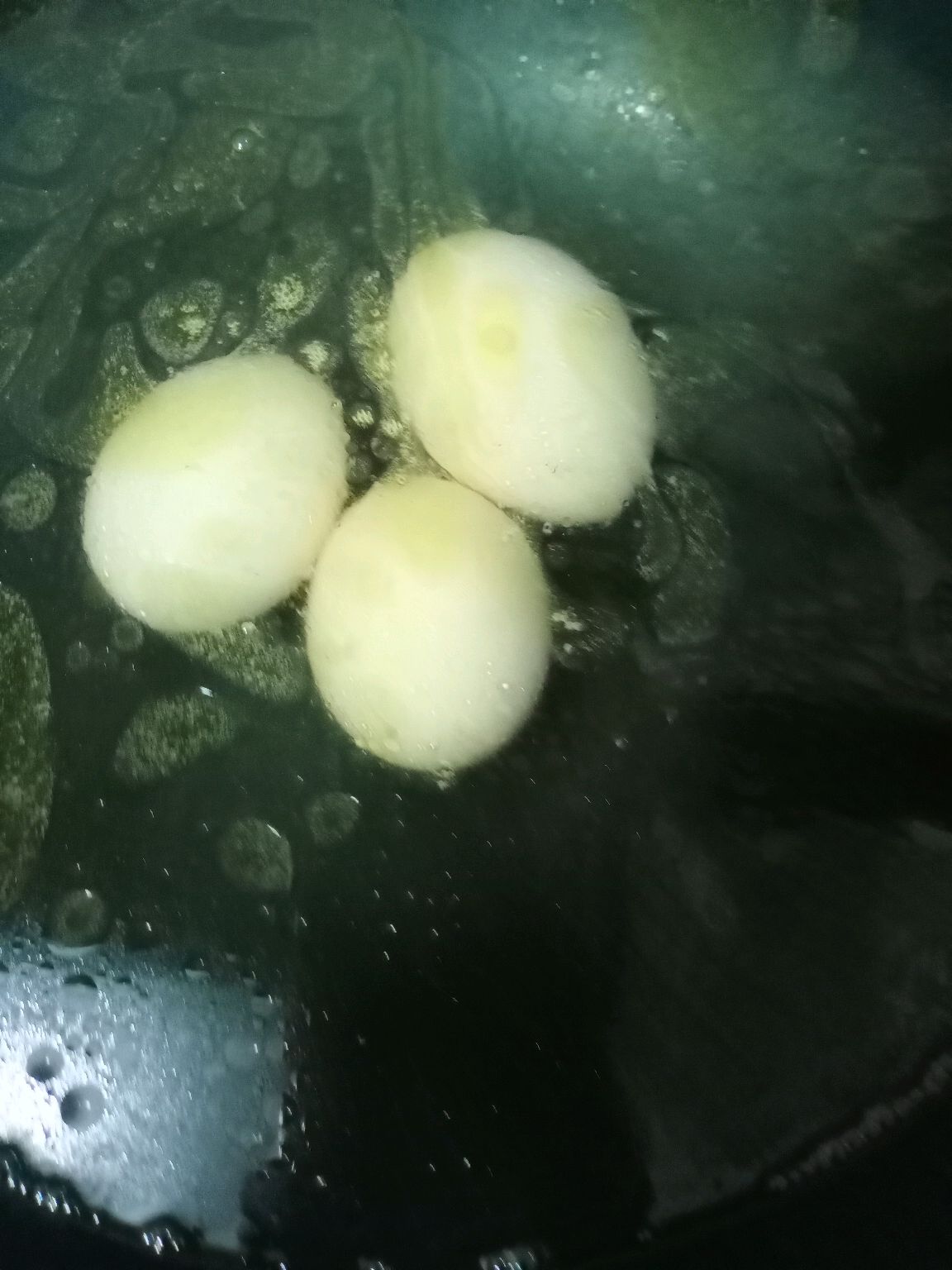 【家庭版】自制美味鸡腿扒晚餐