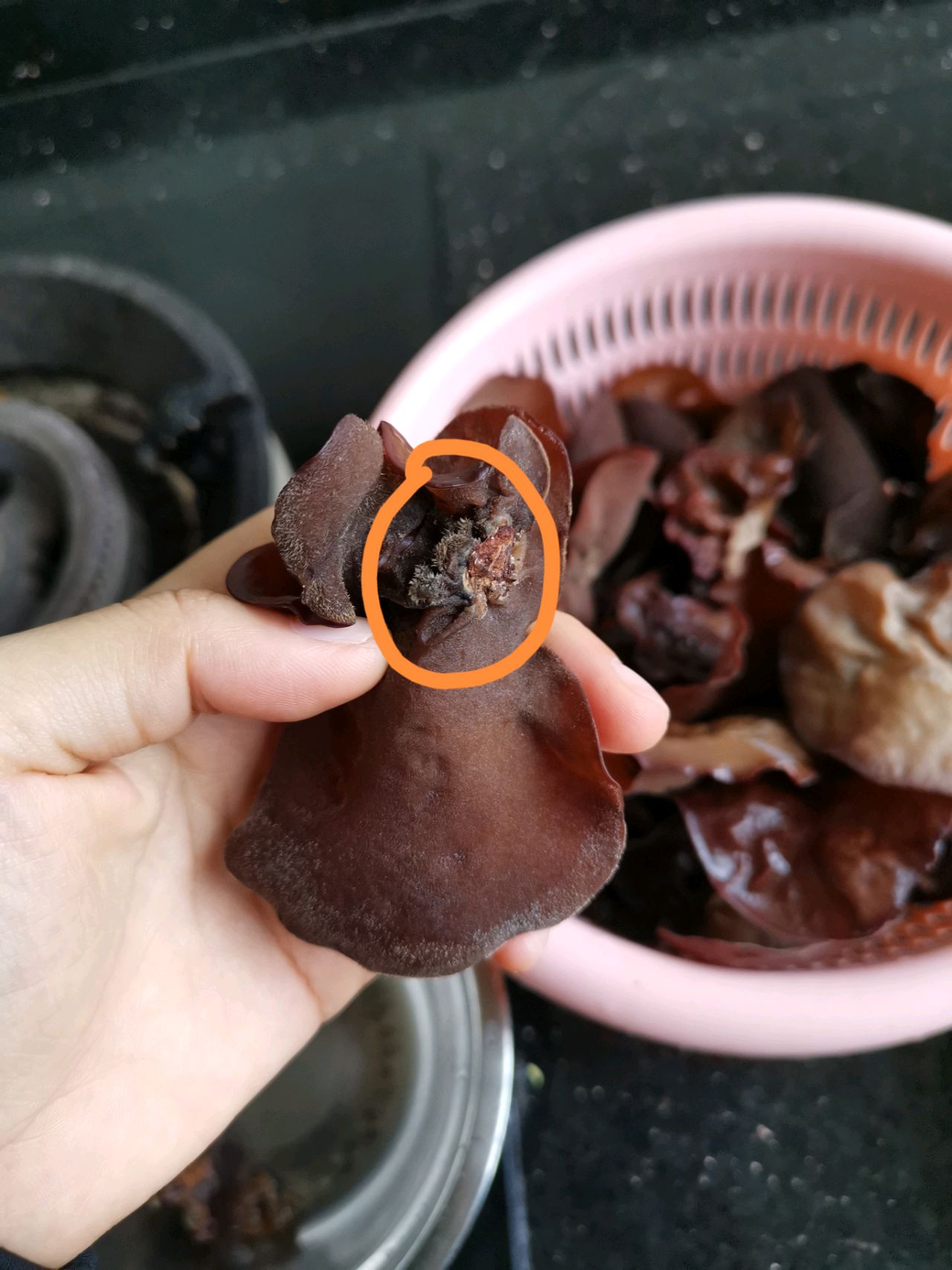 减肥利器❗黑木耳炒山药胡萝卜