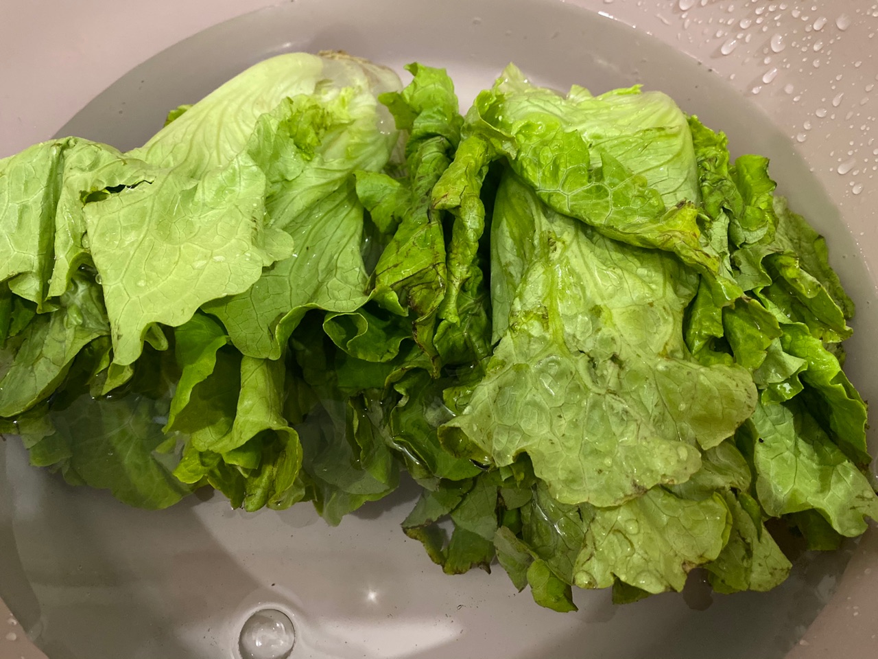 减脂生菜