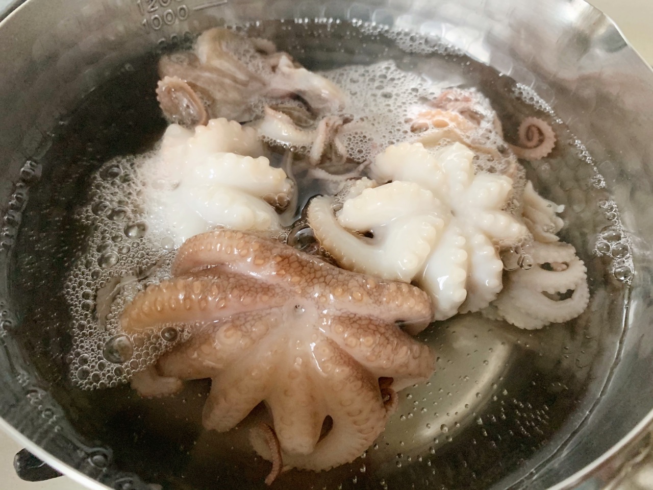 酱爆小章鱼