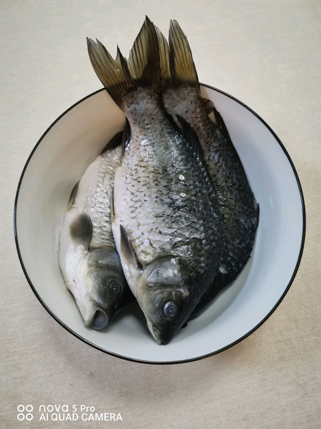 酱炖鲫鱼