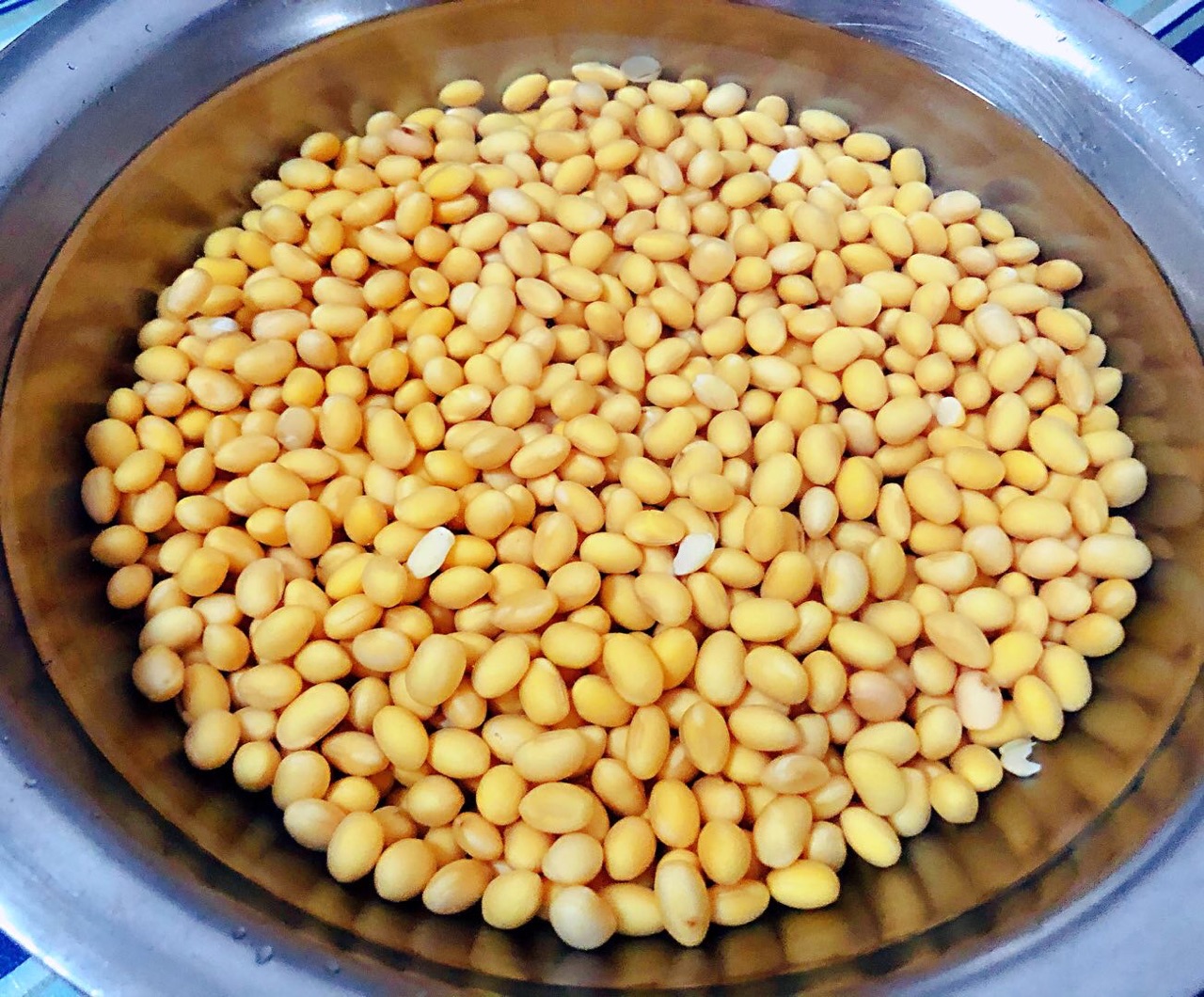 酱黄豆