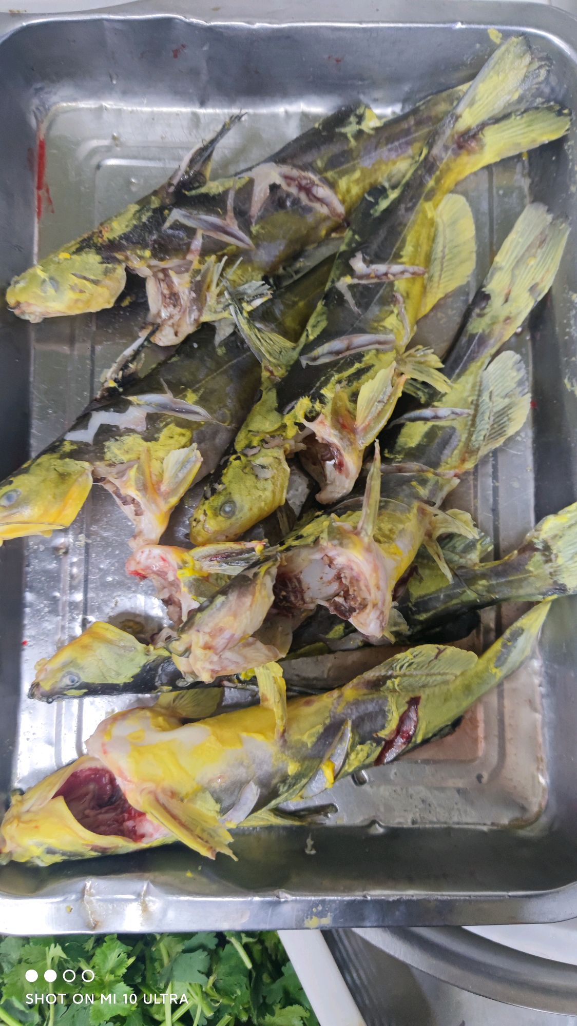 酱焖嘎鱼（嘎牙子）