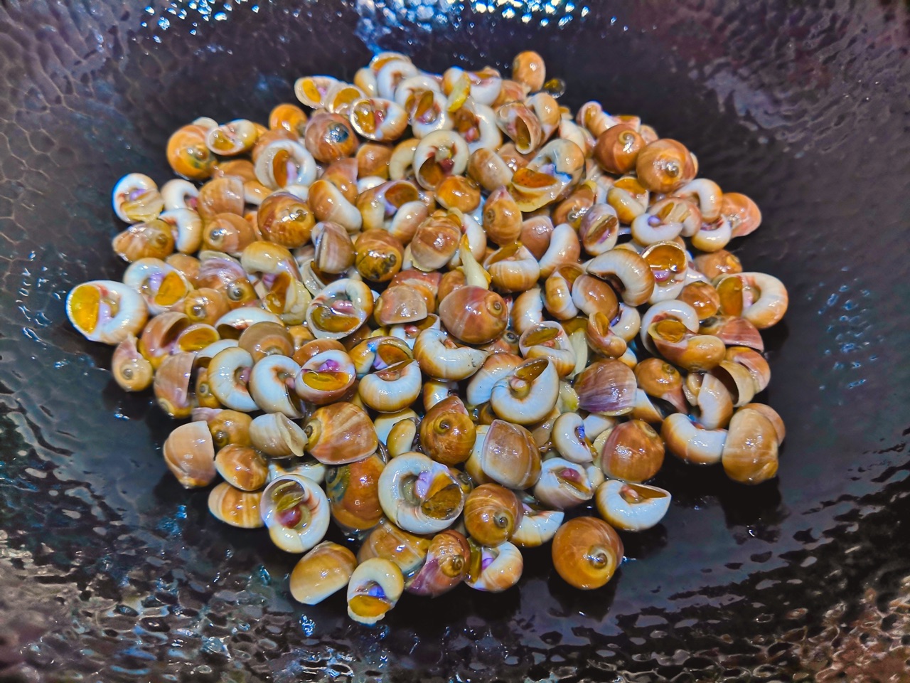 胶东海鲜之《酱爆海荸荠》