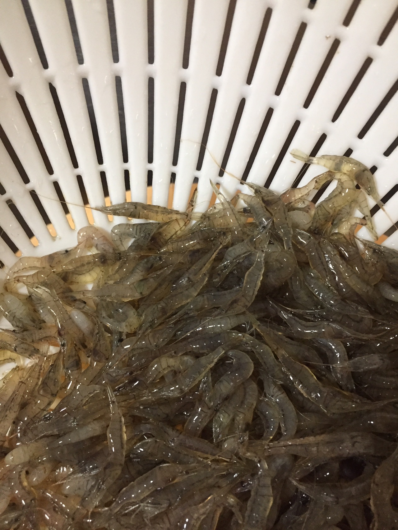 椒盐儿小河虾