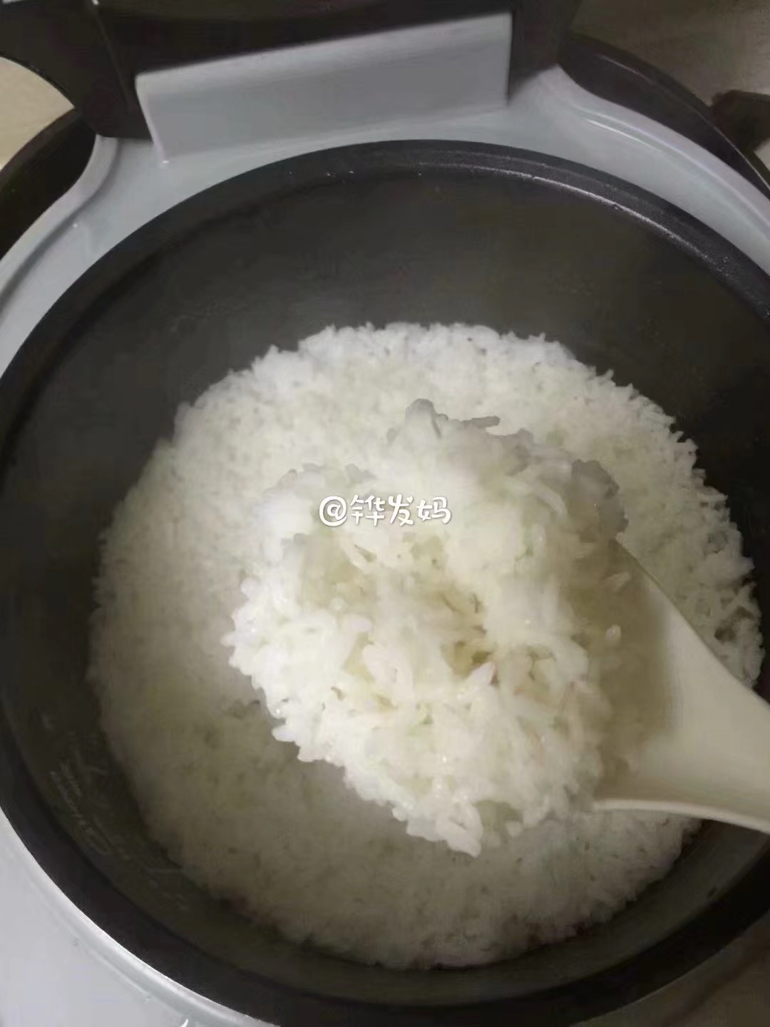 芥兰酸菜牛肉饭