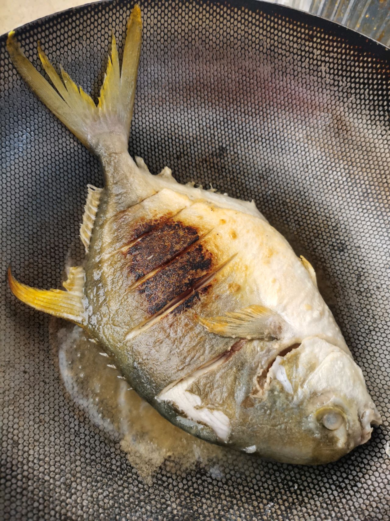 金鲳鱼炖豆腐粉条