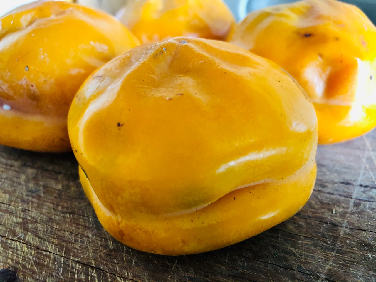 金黄的柿子饼