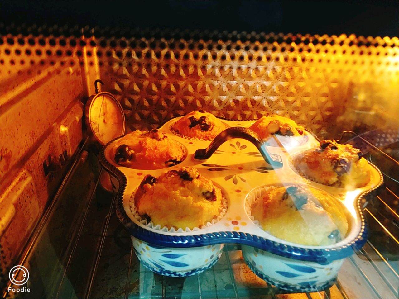 金龙鱼低筋～蓝莓马芬蛋糕