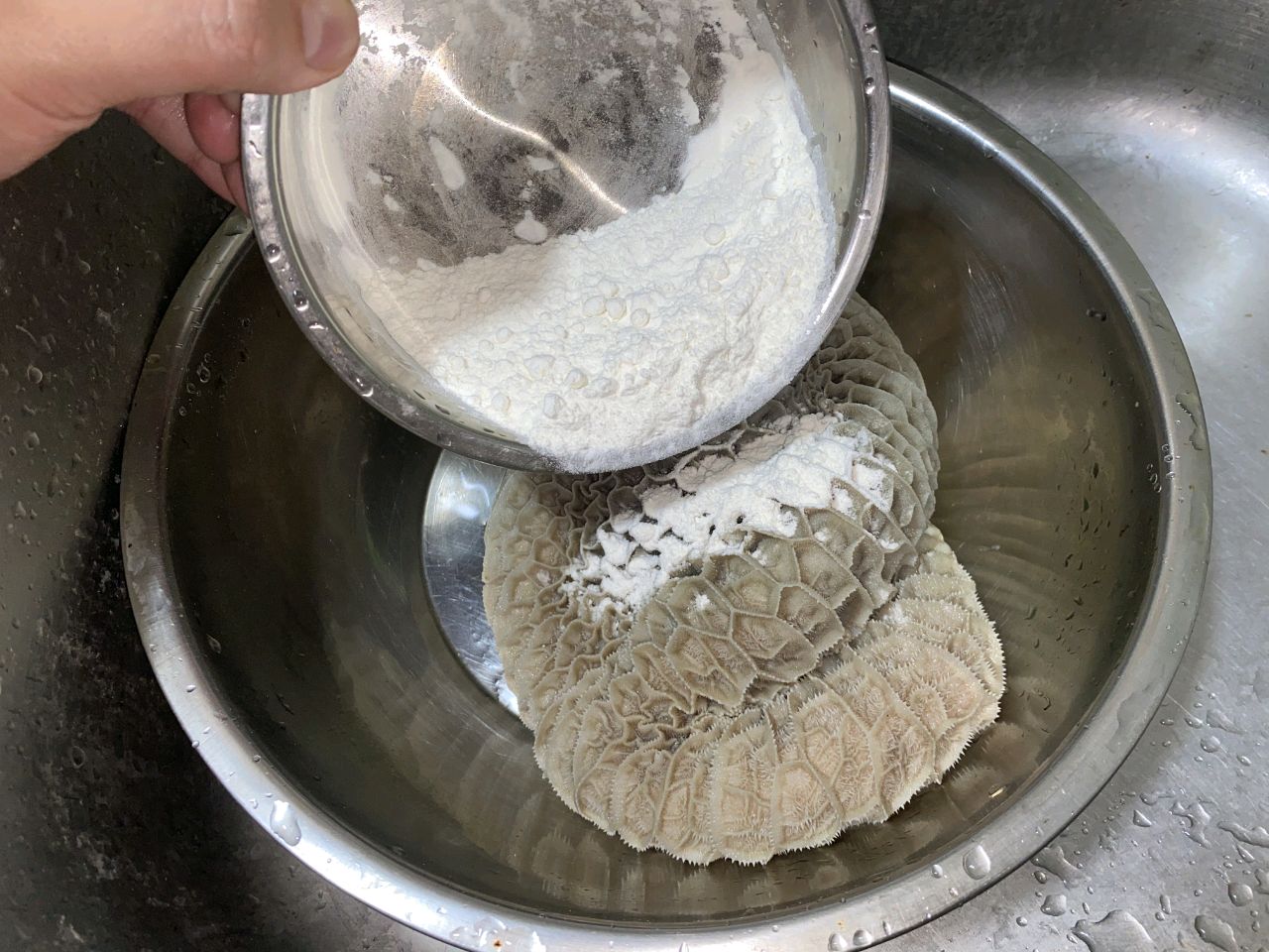金牛报福|卤水豆腐金钱肚