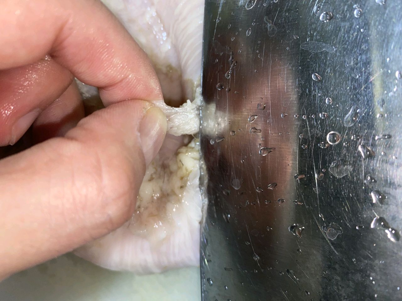 金牛报福|卤水豆腐金钱肚