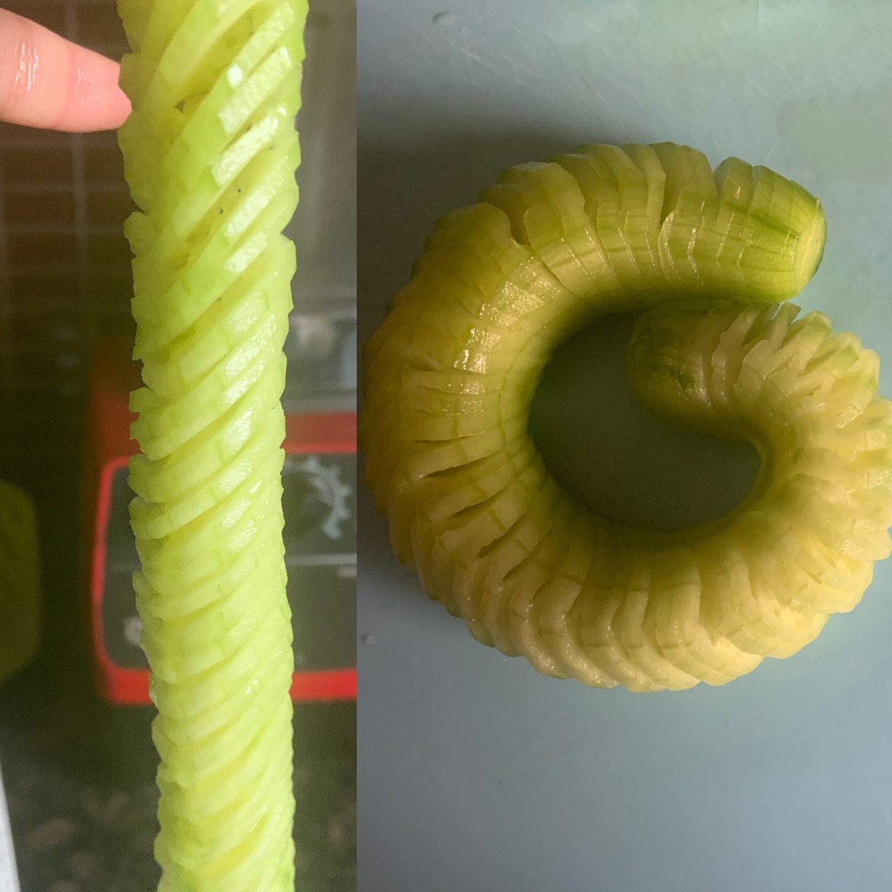 金钱黄瓜