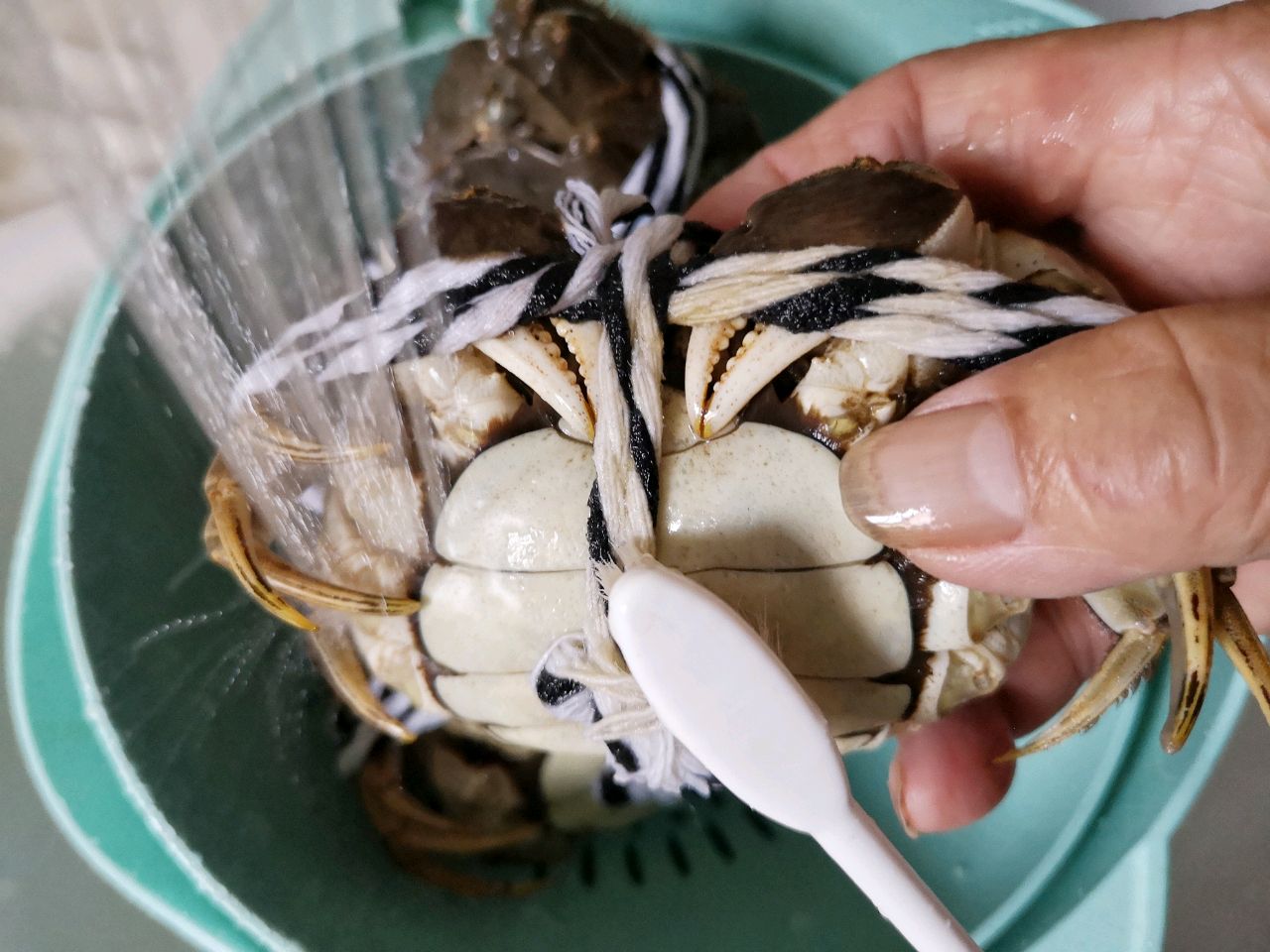 金秋里的美味之最——清蒸大闸蟹