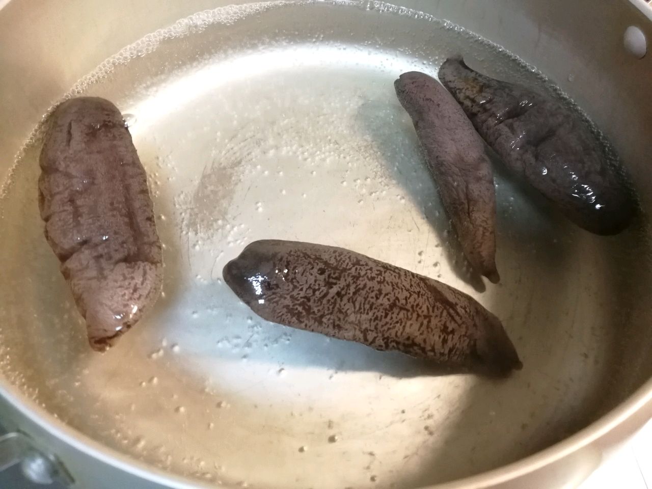 金汤茄参