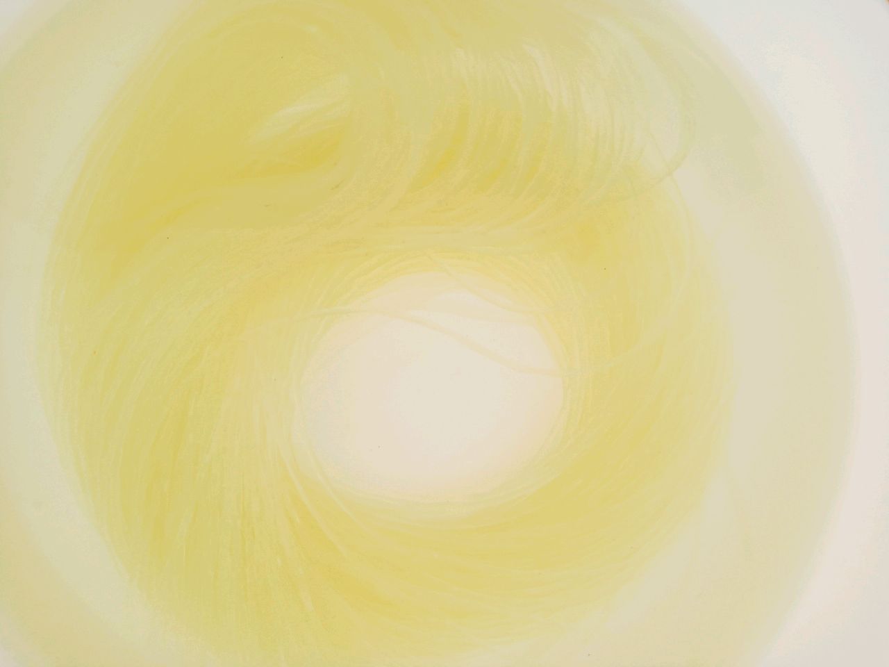 金针菇蒸粉丝