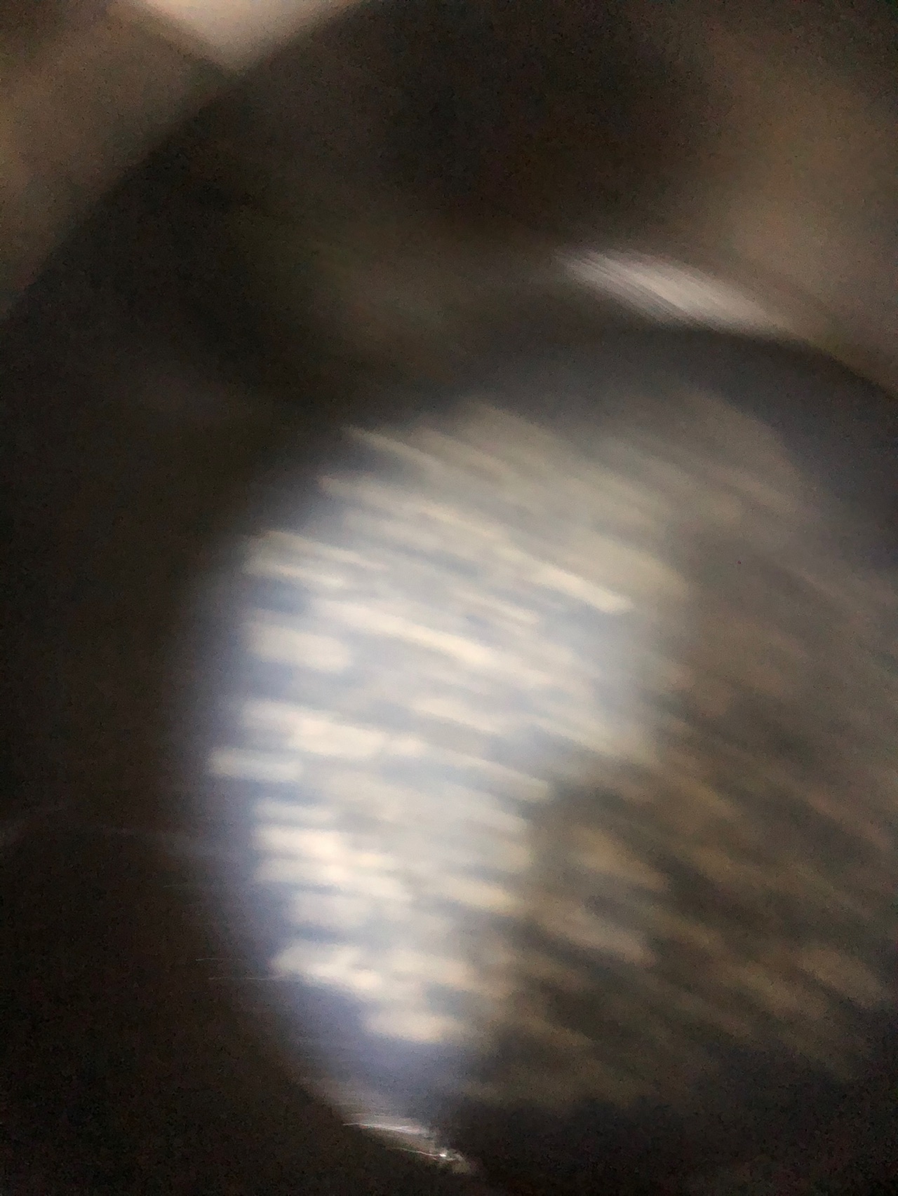 韭菜炒螺丝肉