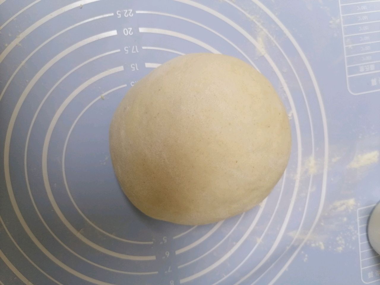 韭菜鸡蛋馅饼
