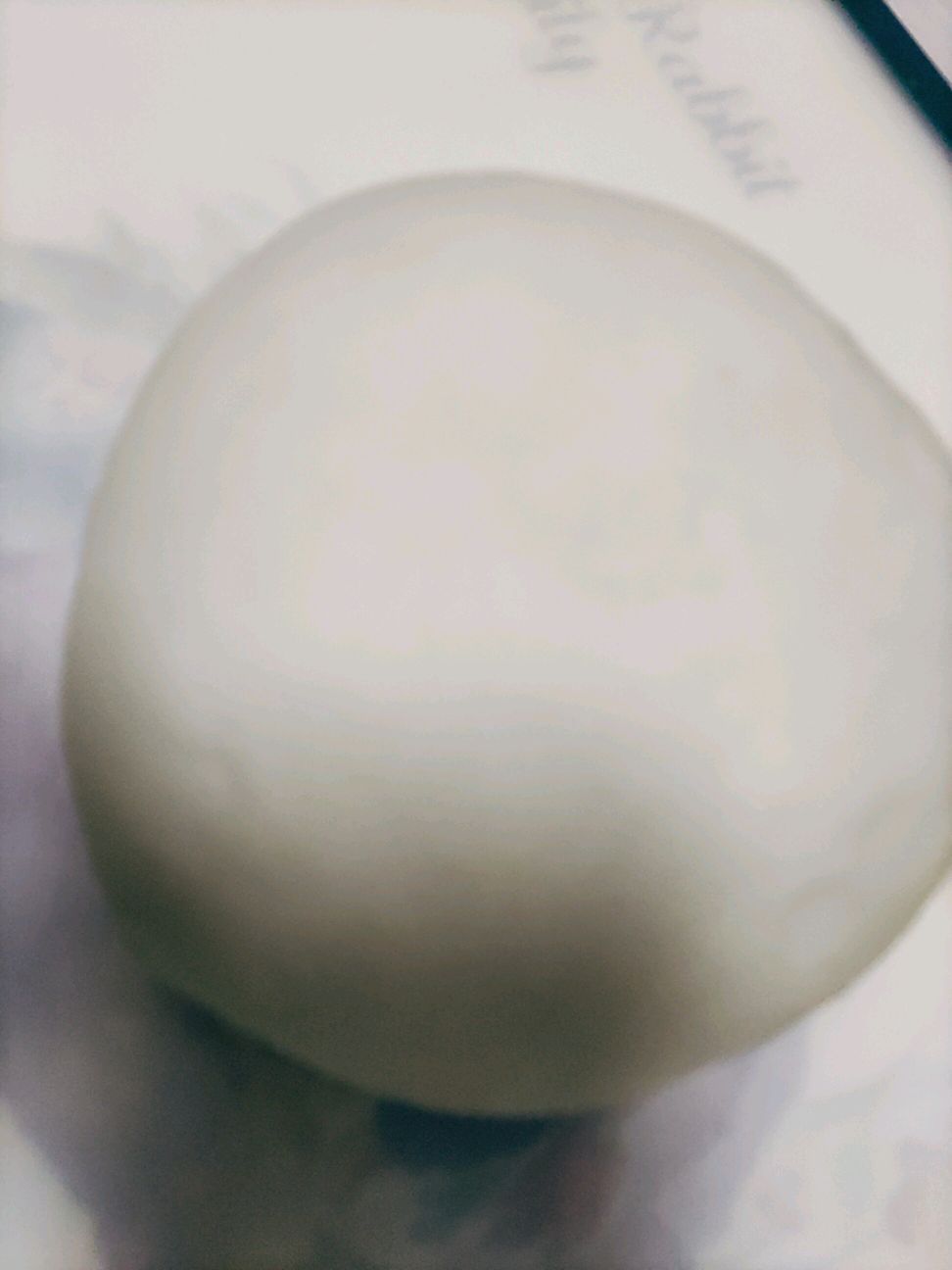韭菜 虾馅饼