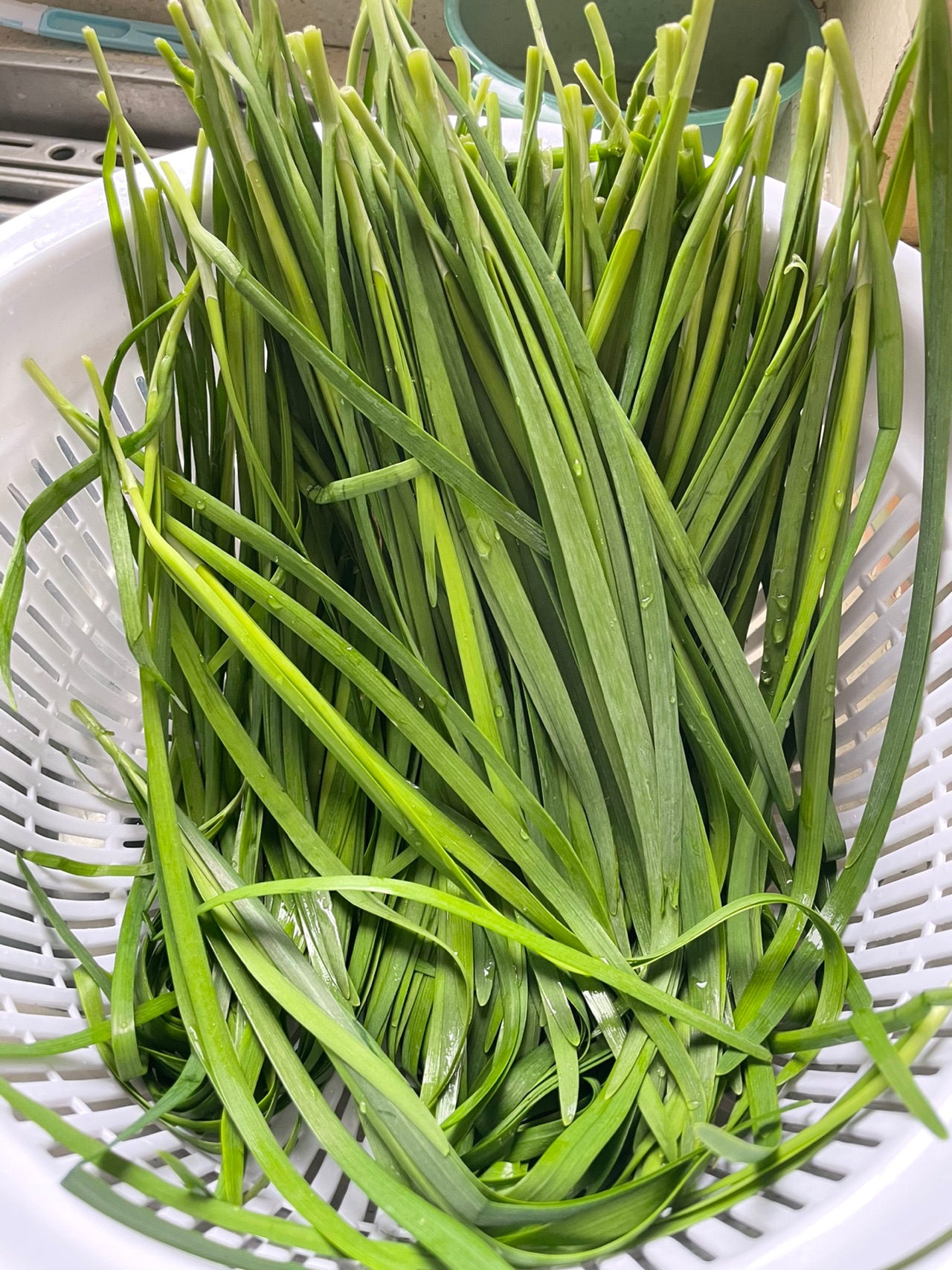 韭菜猪肉饺子