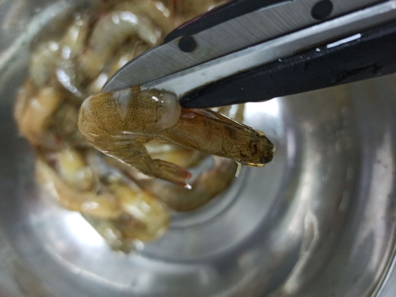 旧庄耗油粉丝蒜蓉虾