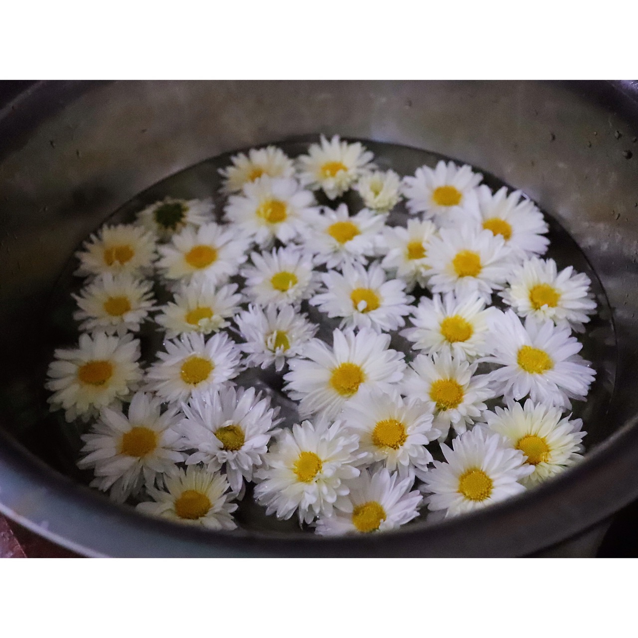 菊花鱼头汤