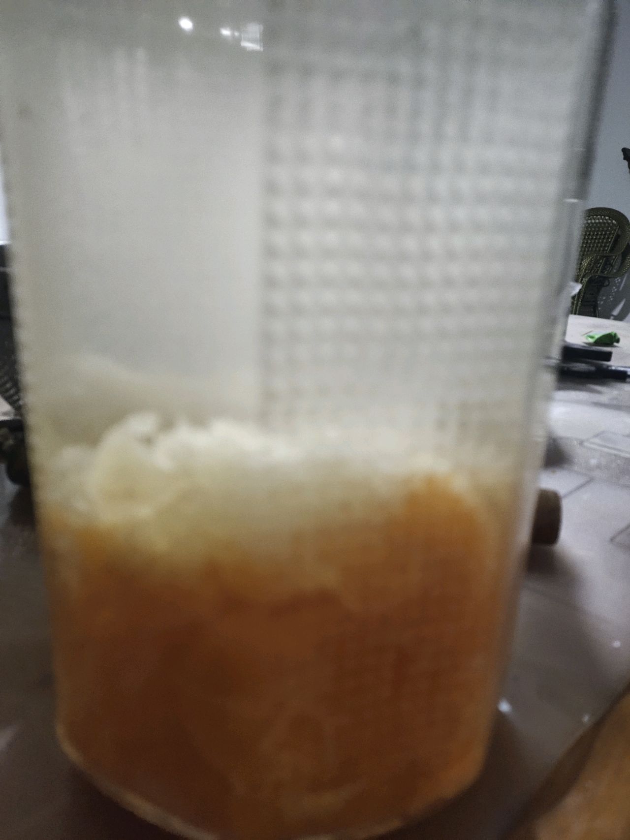 橘子酒