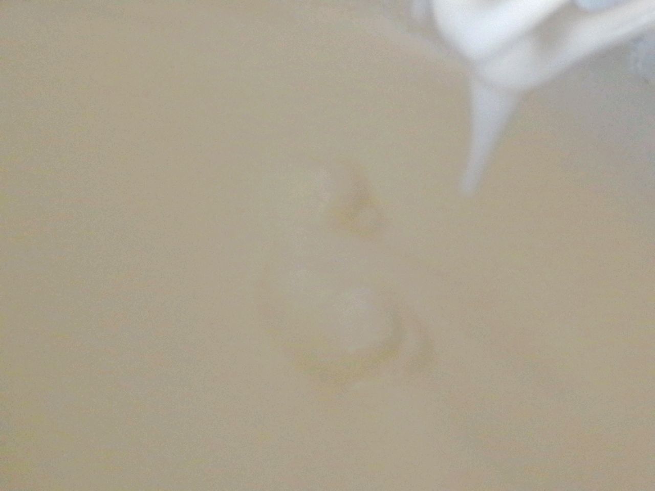 咖啡面包