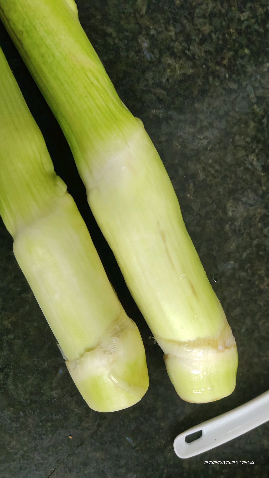 咖啡秀厨：清盐茭白