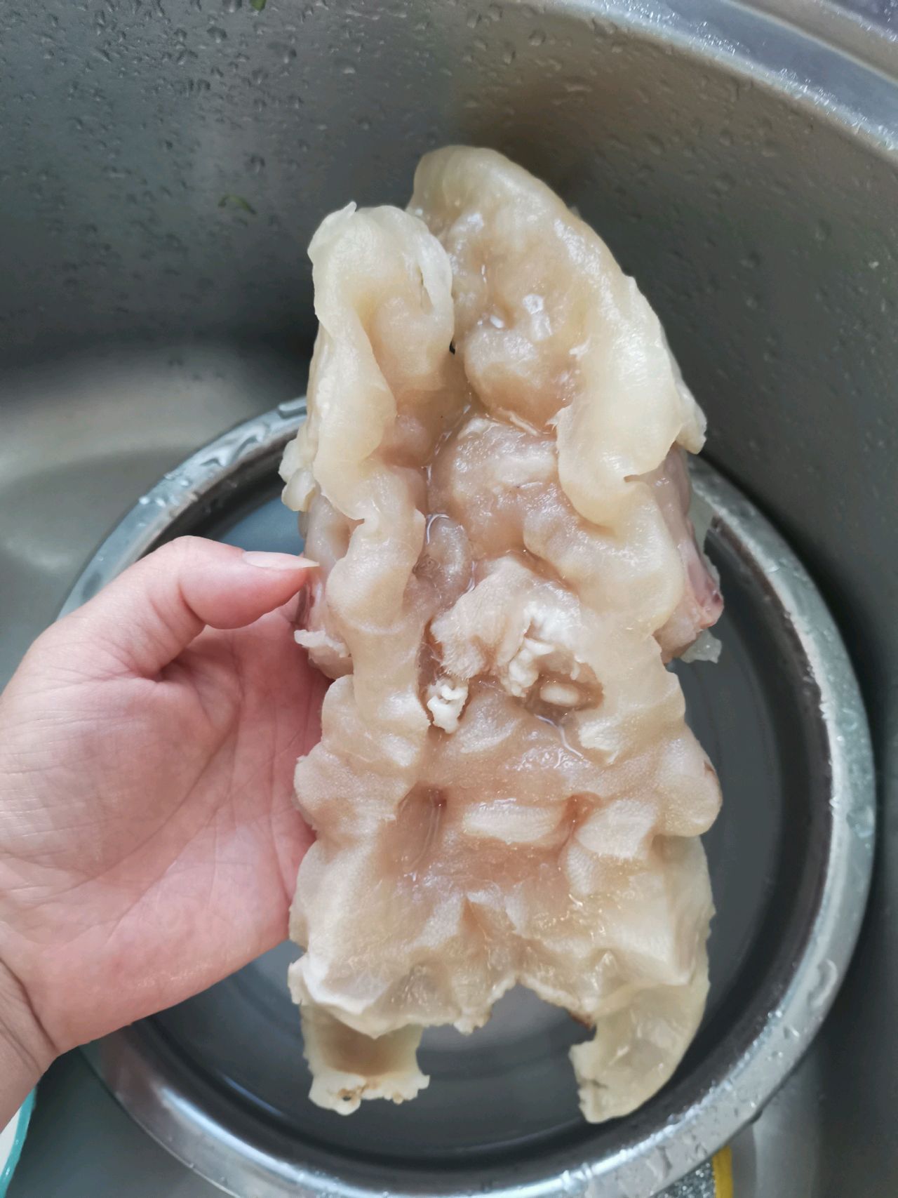 咖喱牛蹄筋