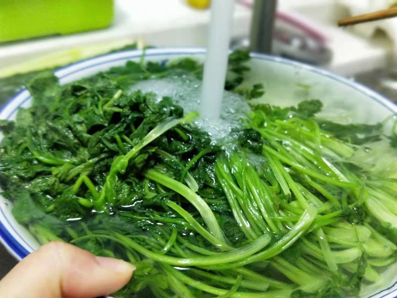 开胃～凉拌香菜