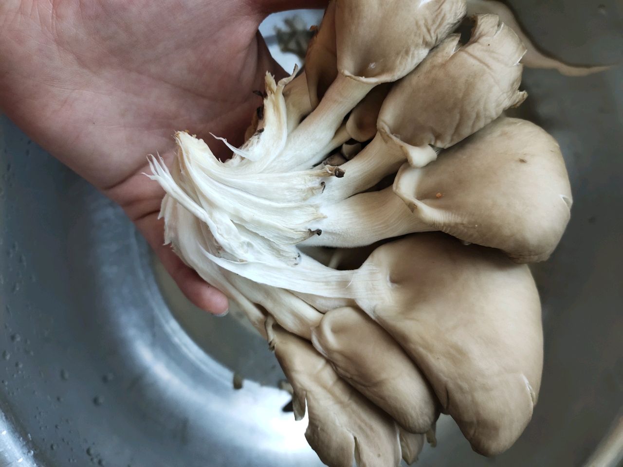 烤平菇（烤箱版）