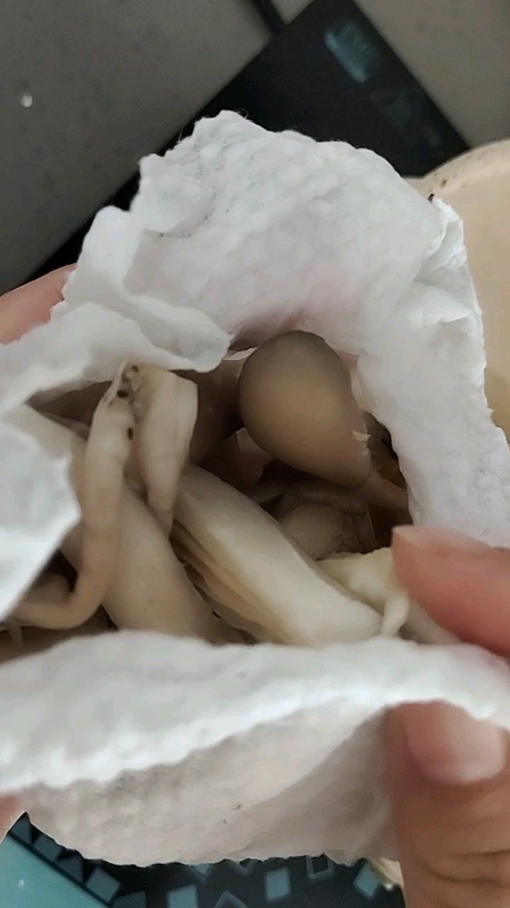 烤肉味干煸蘑菇
