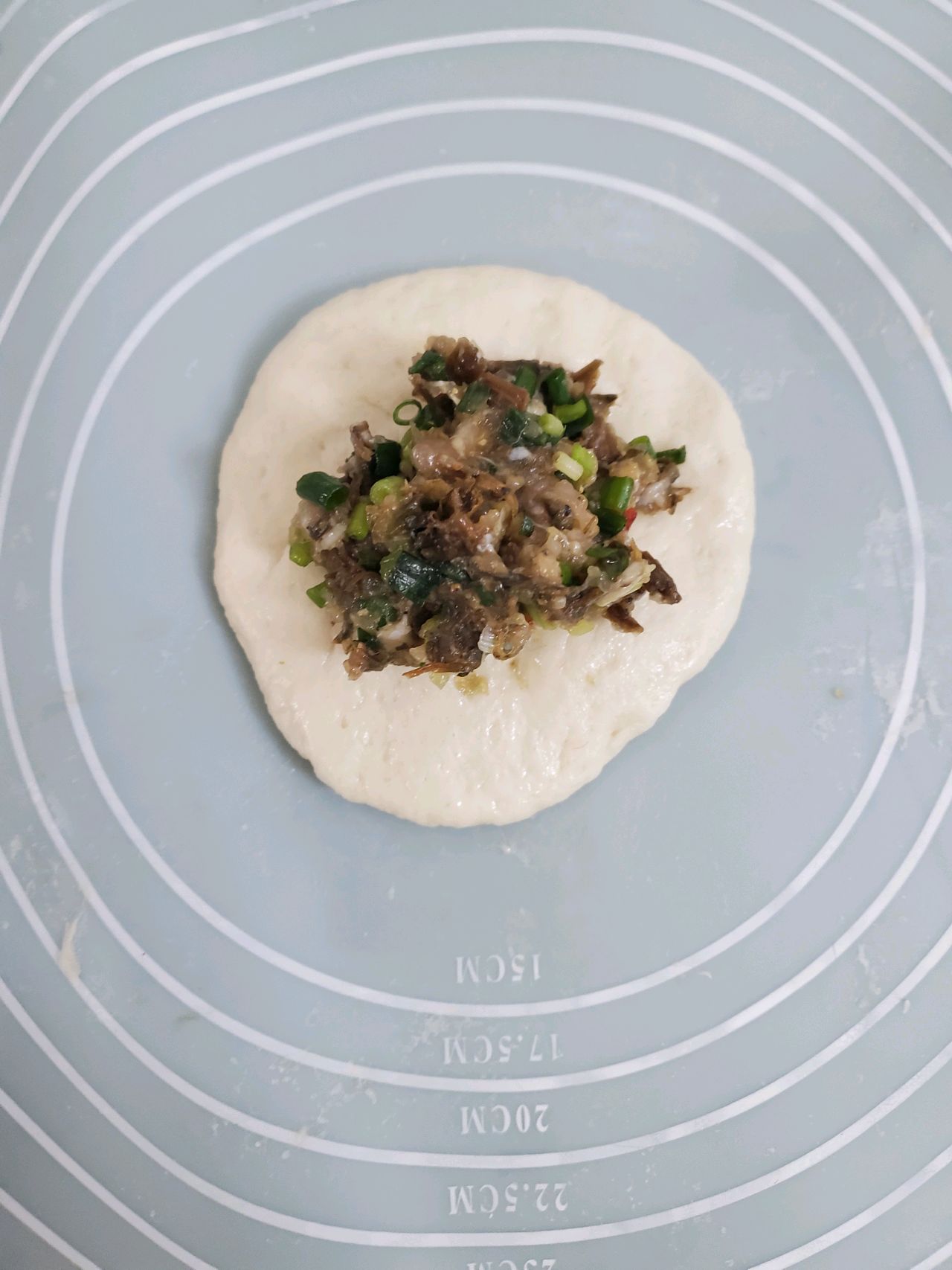 烤箱版 梅干菜鲜肉锅盔