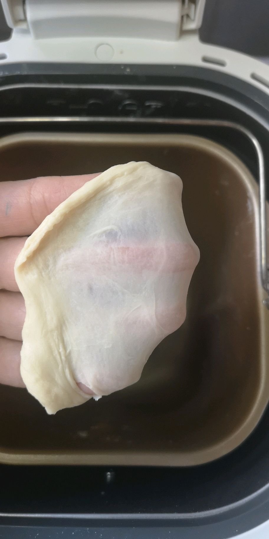柯基屁屁面包