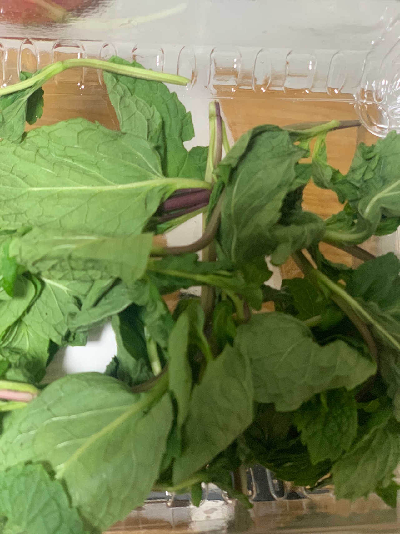 可以当主食的沙拉