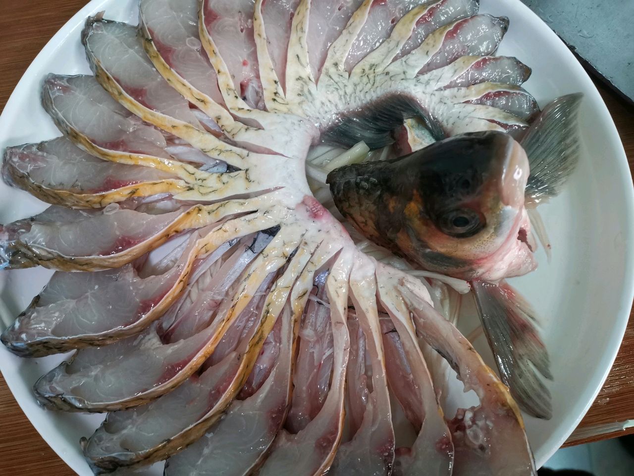 孔雀开屏鱼