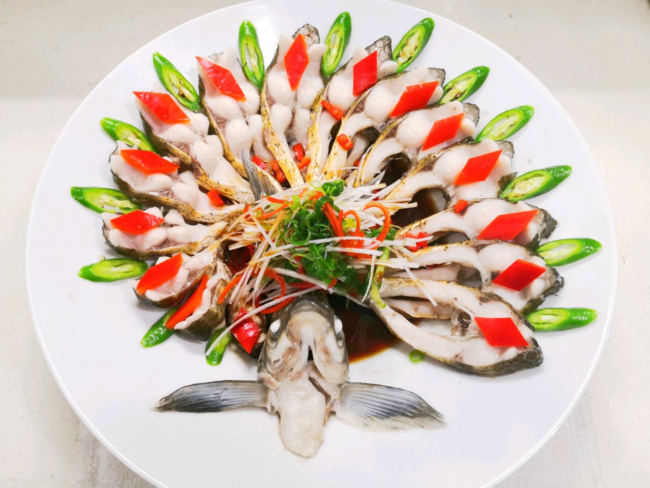 孔雀开屏鱼