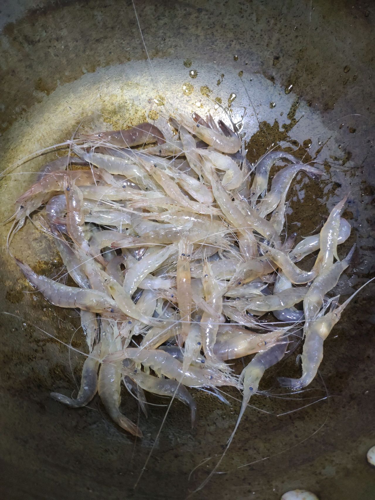 快手干焖小海虾(很香)