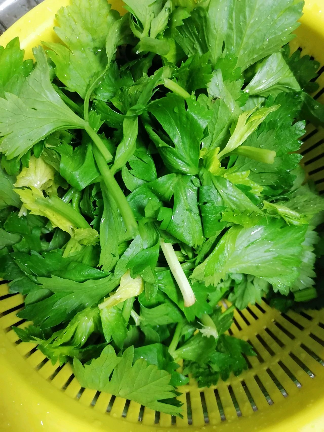 快手清淡的芹菜叶拌素鸡