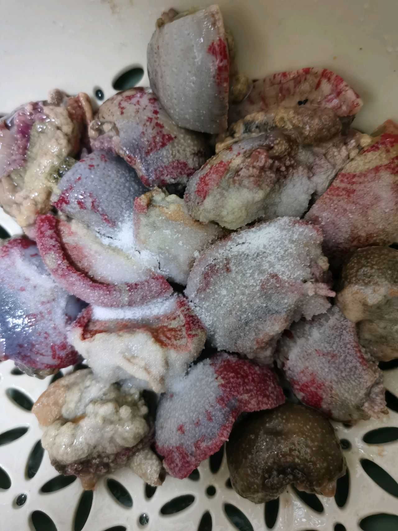辣椒炒海腚 爆炒海葵