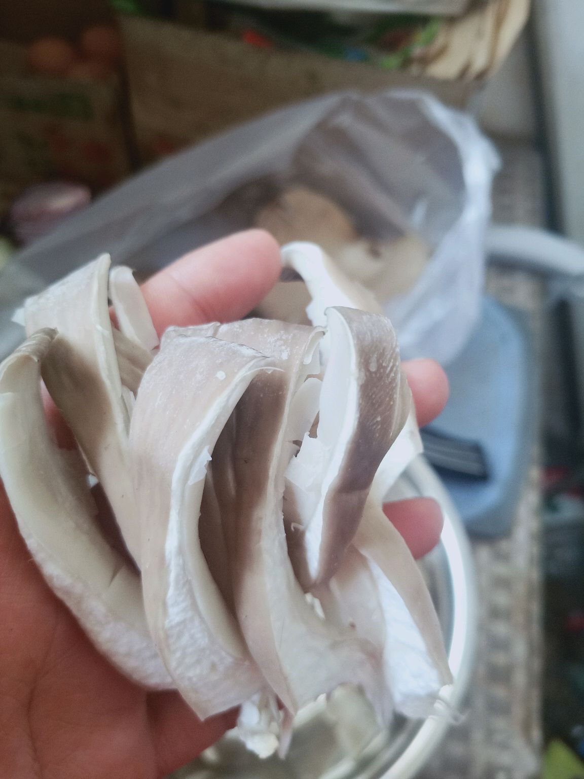 辣椒炒鲜蘑